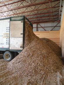 L'énergie issue de la biomasse